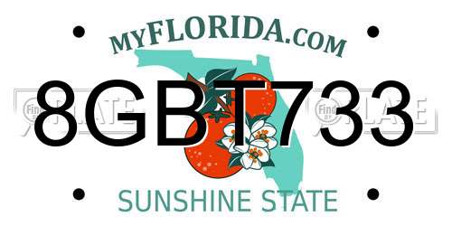 8GBT733 Florida License Plate