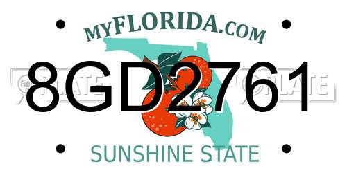 8GD2761 Florida License Plate