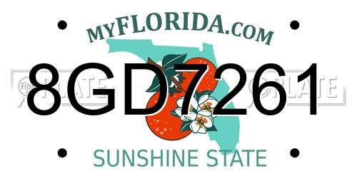 8GD7261 Florida License Plate