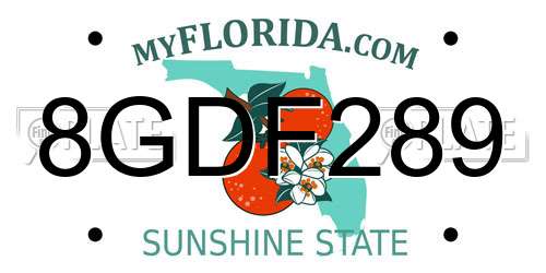 8GDF289 Florida License Plate
