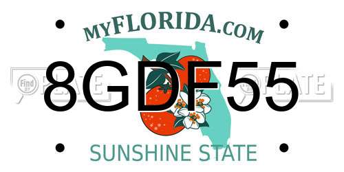 8GDF55 Florida License Plate
