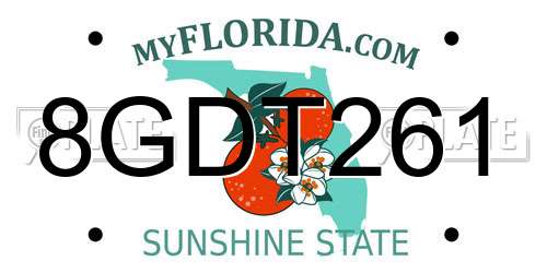 8GDT261 Florida License Plate