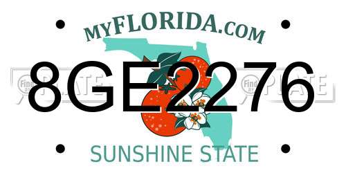 8GE2276 Florida License Plate