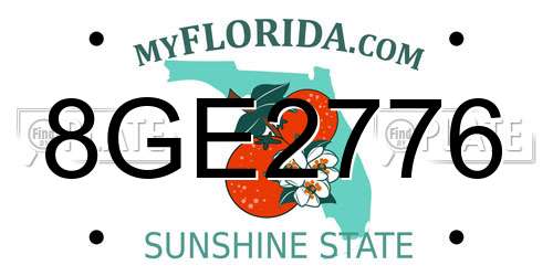 8GE2776 Florida License Plate
