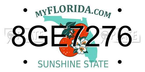8GE7276 Florida License Plate