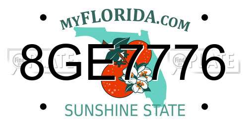 8GE7776 Florida License Plate