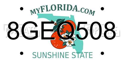 8GEQ508 Florida License Plate