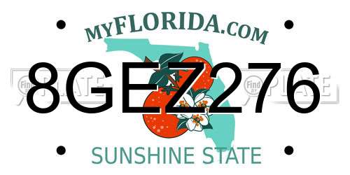 8GEZ276 Florida License Plate