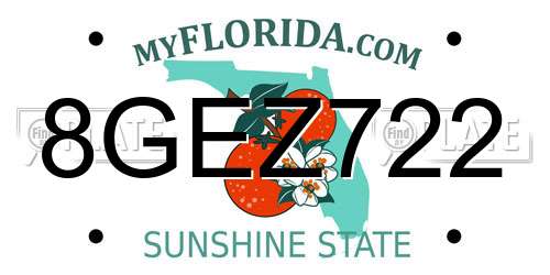 8GEZ722 Florida License Plate