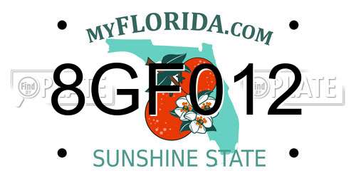 8GF012 Florida License Plate