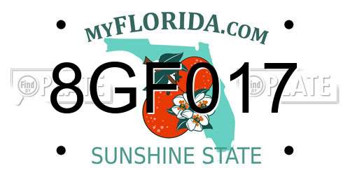 8GF017 Florida License Plate