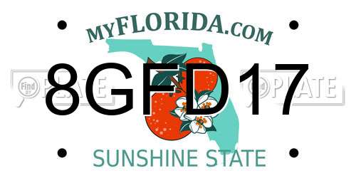 8GFD17 Florida License Plate