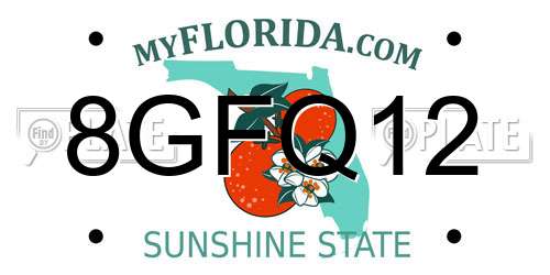 8GFQ12 Florida License Plate