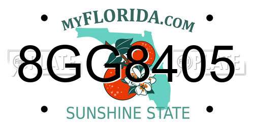 8GG8405 Florida License Plate