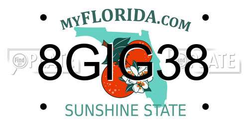 8GIG38 Florida License Plate