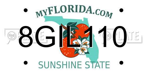 8GIL110 Florida License Plate