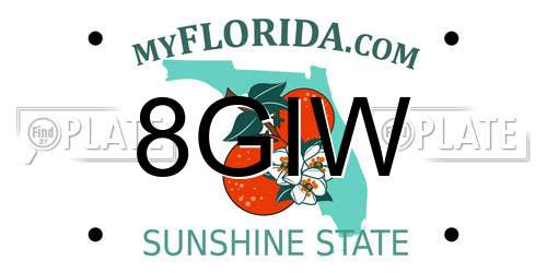 8GIW Florida License Plate