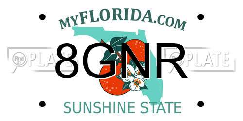 8GNR Florida License Plate