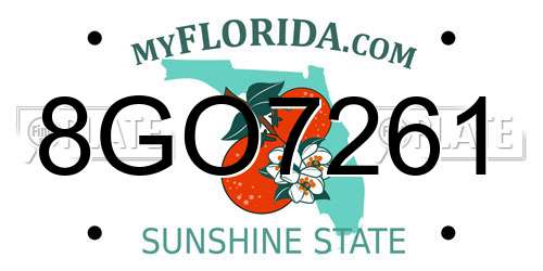 8GO7261 Florida License Plate