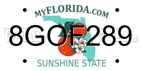 8GOF289 Florida License Plate