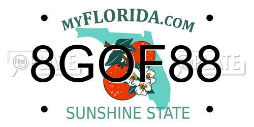 8GOF88 Florida License Plate