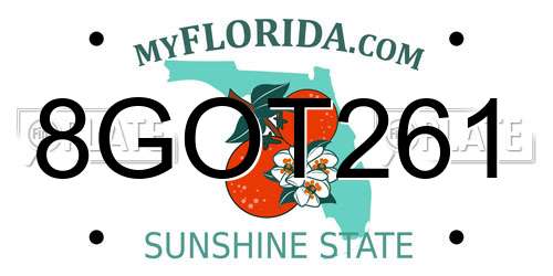 8GOT261 Florida License Plate