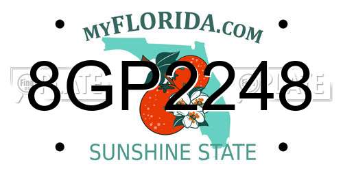 8GP2248 Florida License Plate