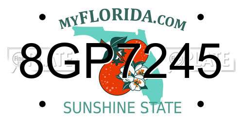 8GP7245 Florida License Plate