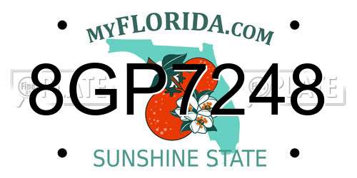 8GP7248 Florida License Plate
