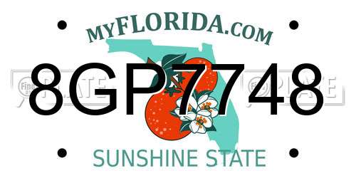 8GP7748 Florida License Plate