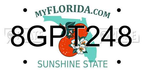 8GPT248 Florida License Plate