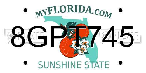 8GPT745 Florida License Plate