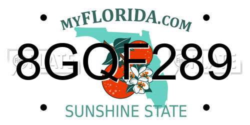 8GQF289 Florida License Plate
