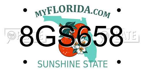 8GS658 Florida License Plate