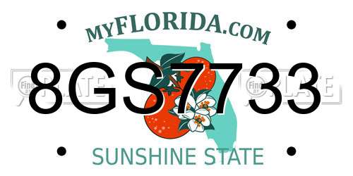 8GS7733 Florida License Plate