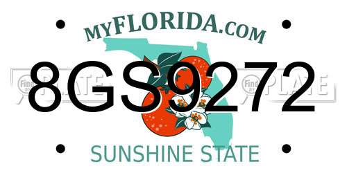 8GS9272 Florida License Plate