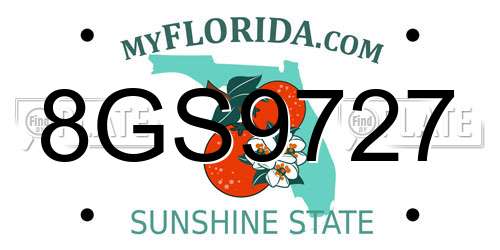 8GS9727 Florida License Plate