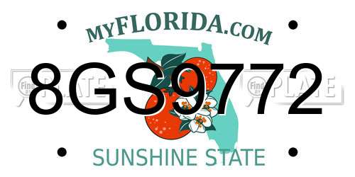 8GS9772 Florida License Plate