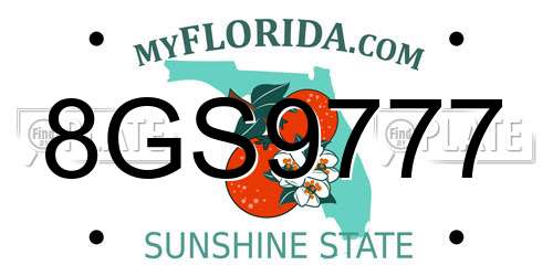 8GS9777 Florida License Plate