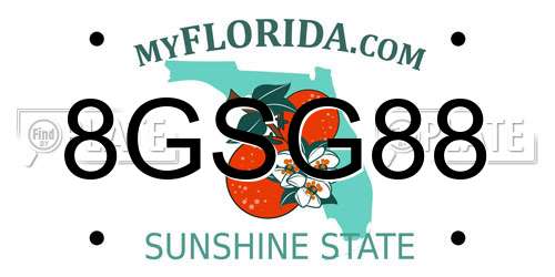 8GSG88 Florida License Plate