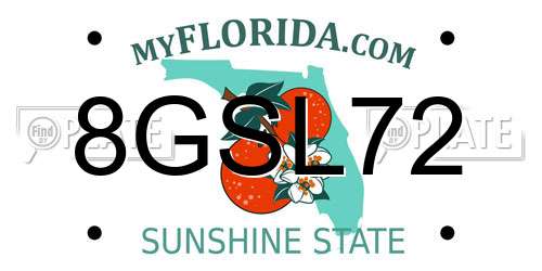 8GSL72 Florida License Plate