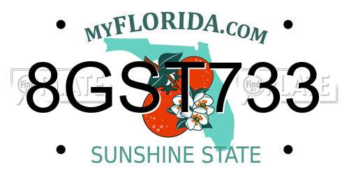 8GST733 Florida License Plate