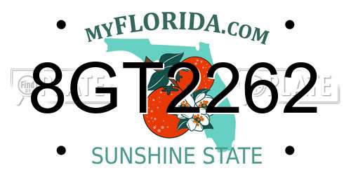 8GT2262 Florida License Plate