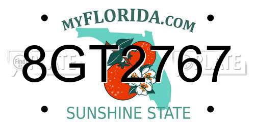 8GT2767 Florida License Plate