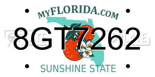 8GT7262 Florida License Plate