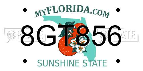 8GT856 Florida License Plate