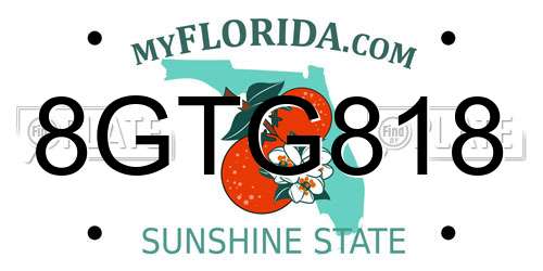 8GTG818 Florida License Plate