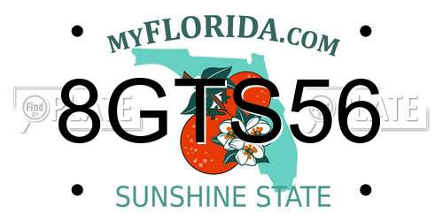 8GTS56 Florida License Plate