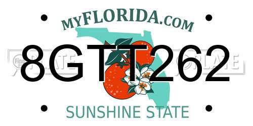 8GTT262 Florida License Plate