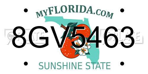 8GV5463 Florida License Plate